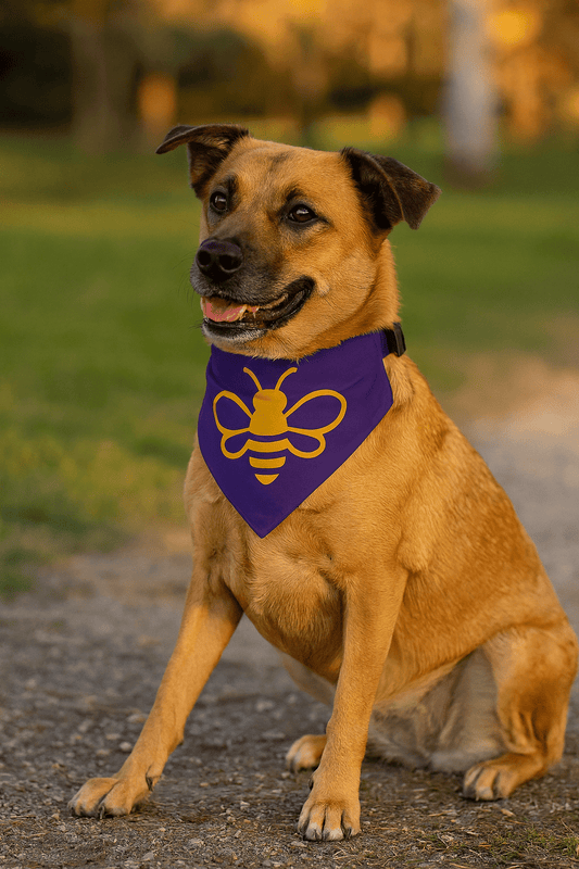 MHA Bee Inspired Pet Bandana (Purple) Collar – branded streetwear item